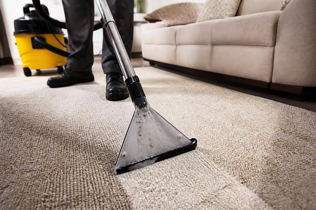 Deep Cleaning Carpets for Health: A 2026 Guide