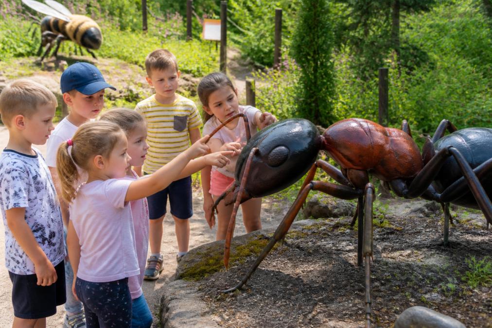 Dzieci w wieku 4-9 lat obserwujące z bliska gigantyczne modele owadów na ścieżce edukacyjnej, wskazujące na detale anatomiczne, z zainteresowaniem i zdziwieniem w oczach, słoneczny dzień w zielonym ogrodzie