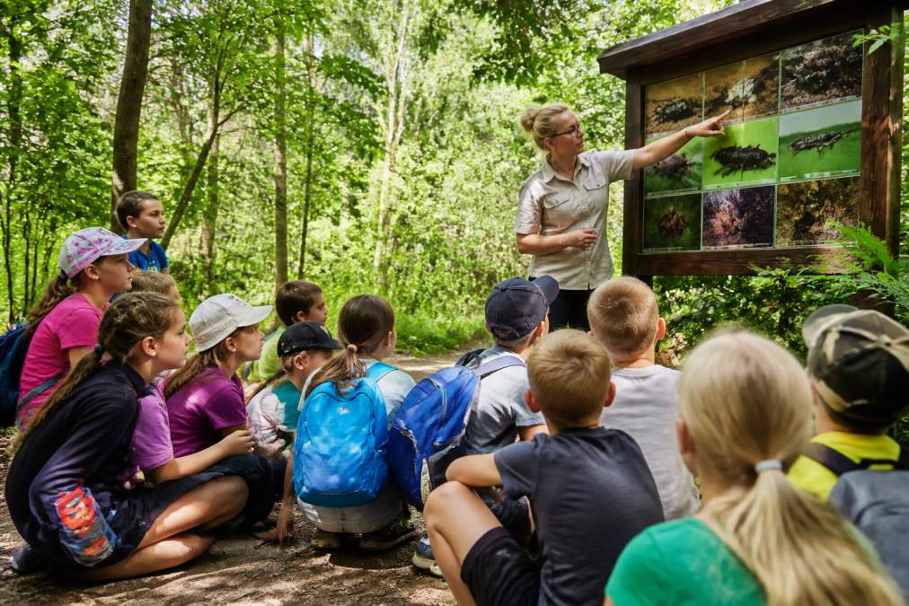 Grupa dzieci ze szkoły biorąca udział w warsztacie przyrodniczym na świeżym powietrzu, edukator pokazujący coś na tablicy informacyjnej w zielonym otoczeniu, słoneczna pogoda