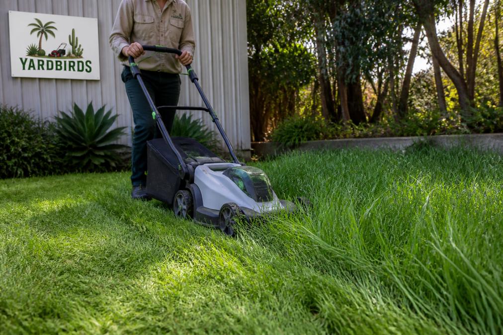 Do Electric Mowers Handle Thick Grass? A Real Test