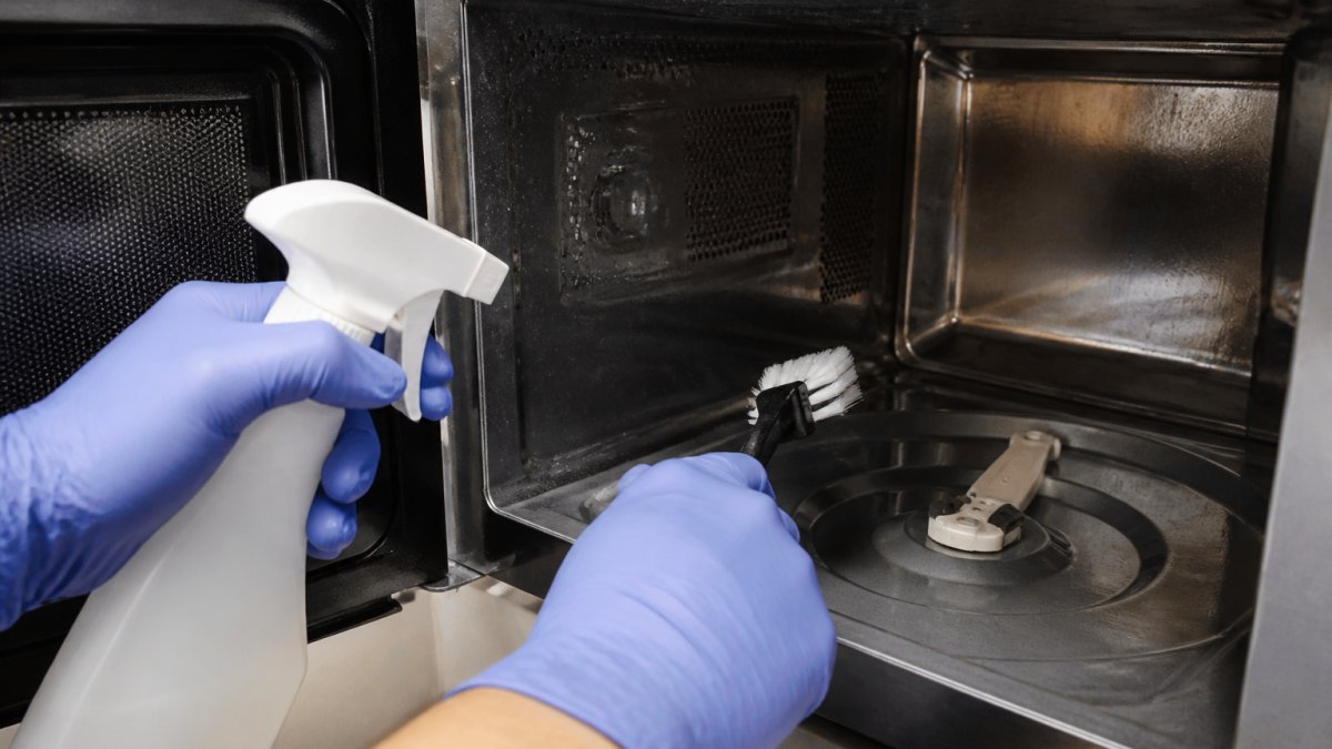 Step-by-step guide on how to clean electronics when you do roaches live in apartment appliances issues arise