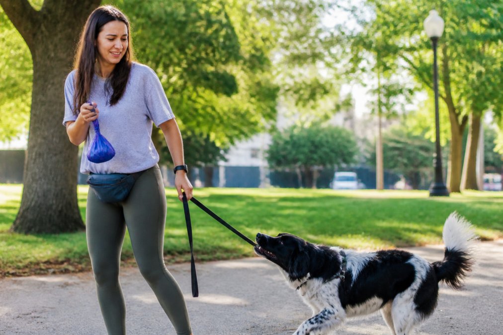 Dog owner laughing while holding scented poop bags during a sunny walk with their playful dog in the park