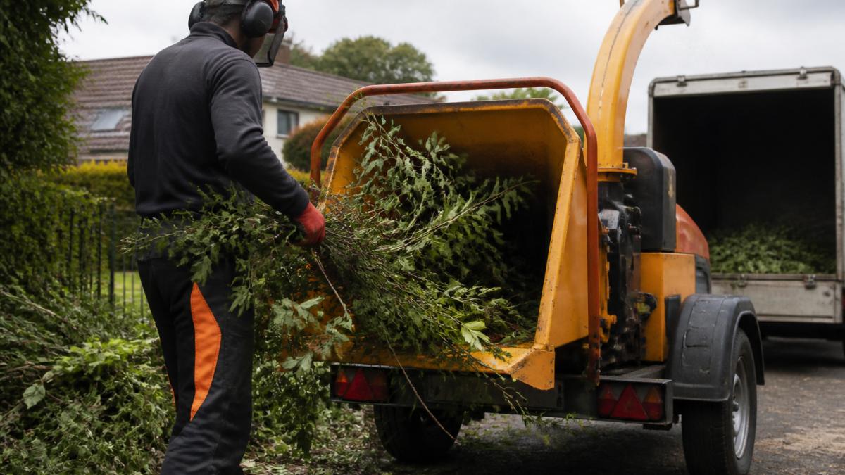 Do Tree Surgeons Remove Garden Waste? A Complete Guide