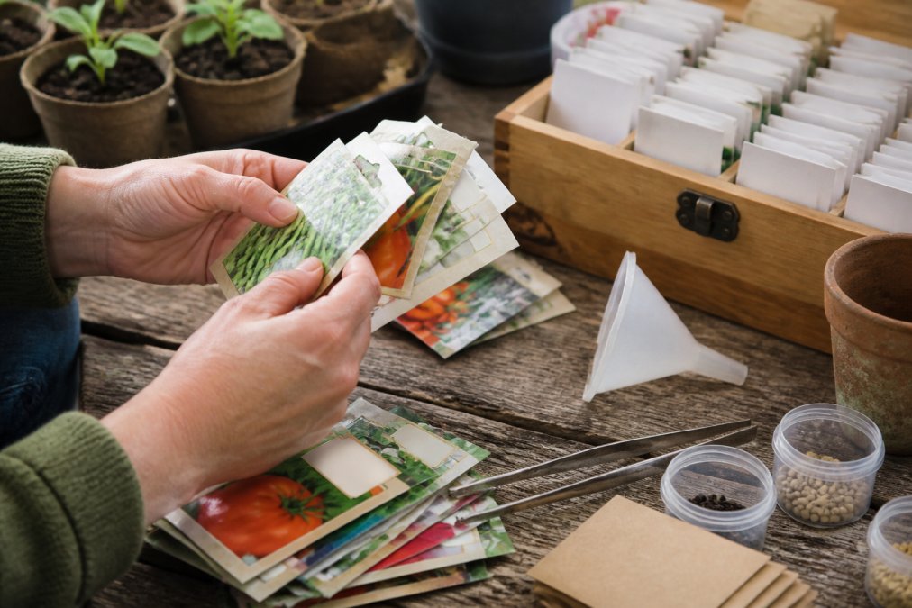 Gardener's hands sorting seed packets and small containers on a wooden table with labels, tweezers, and a funnel nearby