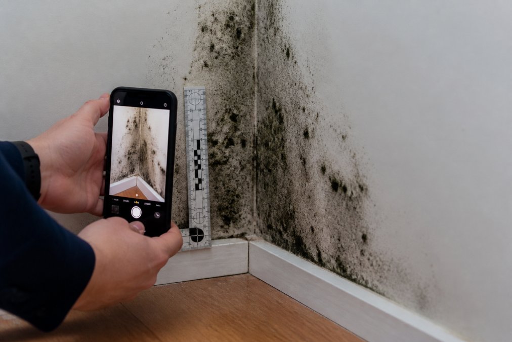 Smartphone capturing detailed mold growth on drywall to document mold exposure with scale and timestamp