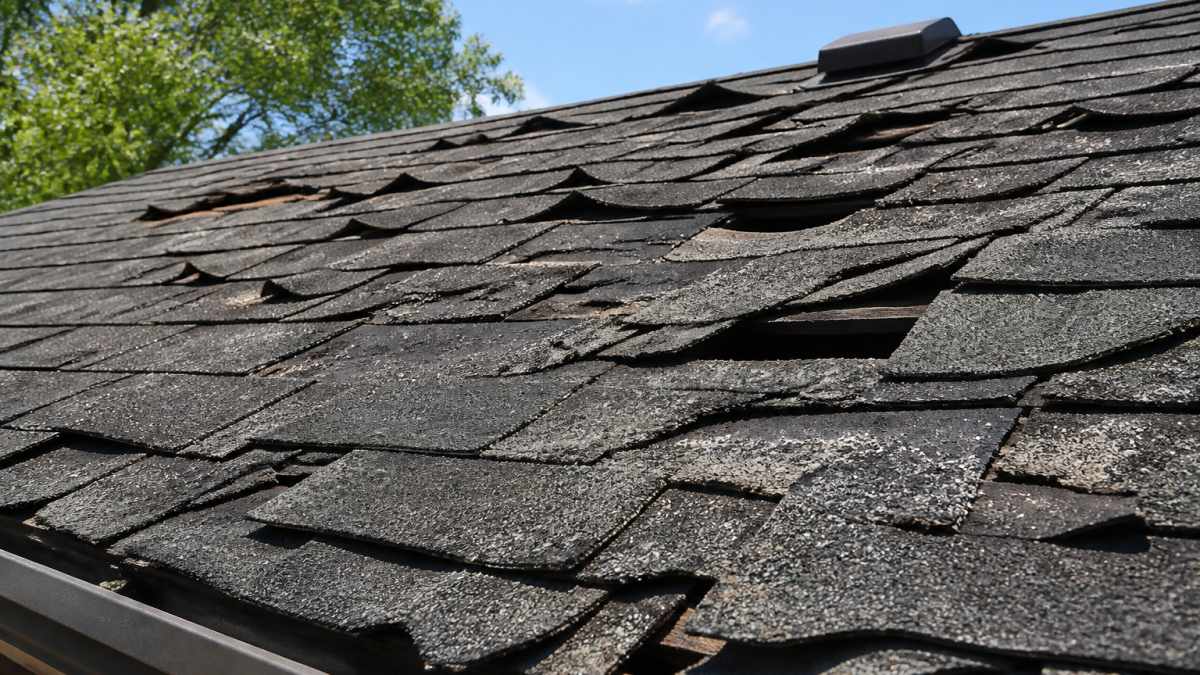 Infographic showing roof damage signs that help determine if a new roof increases home resale value.