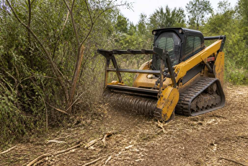 Does Forestry Mulching Prevent Brush Regrowth?