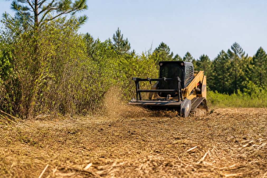 A forestry mulcher attachment on a skid steer cutting thick underbrush on a rural property, with freshly mulched ground cover visible in the foreground and standing timber in the background