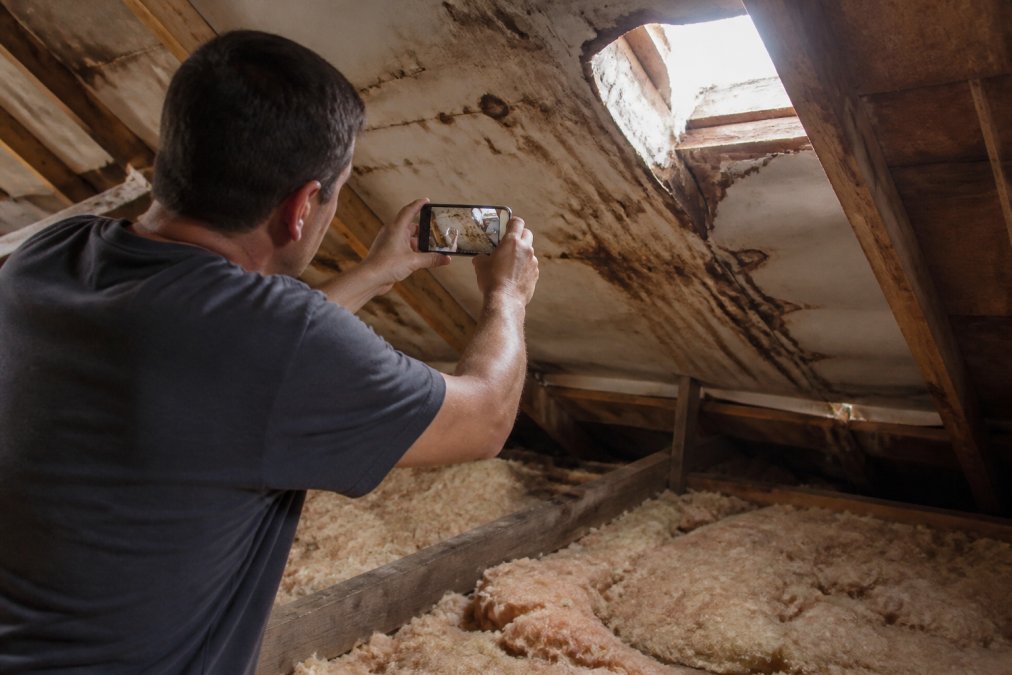Homeowner photographing roof damage with smartphone, capturing close-up of water-stained ceiling and darkened drywall from inside attic space, natural light streaming through roof opening