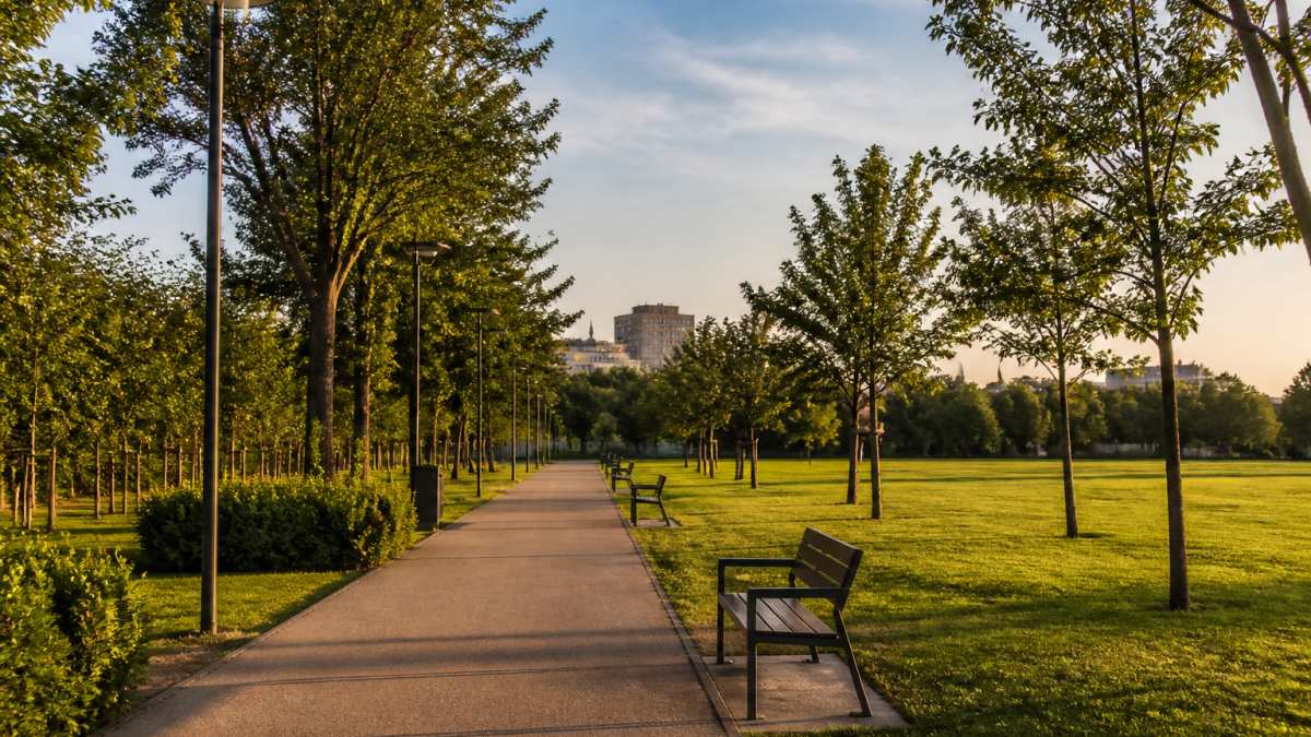 Well-lit park pathway with clear sightlines stretching through open grass areas, park benches visible under modern street lighting during late afternoon, trees pruned to maintain visibility