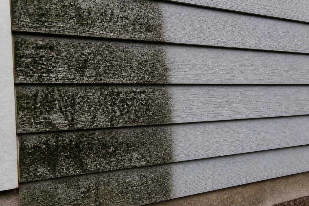 Close-up of dark mold discoloration and fungal growth on weathered gray siding, showing the contrast between affected and clean areas