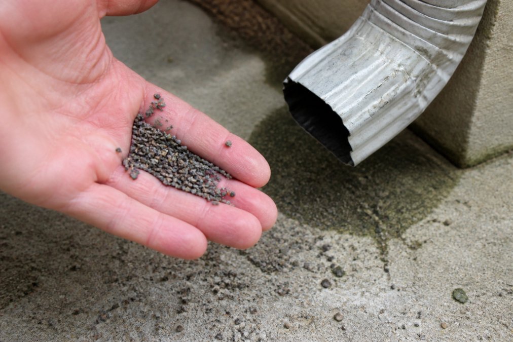 A close-up of a hand holding several loose, gritty asphalt shingle granules next to a metal downspout, with a few granules scattered on the ground, illustrating granule loss after a pressure washing