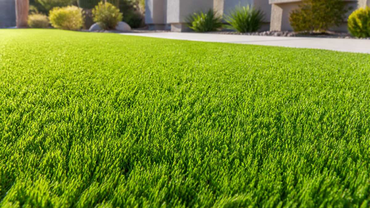 Infographic detailing coverage terms of an artificial turf color fading warranty for vibrant grass fibers