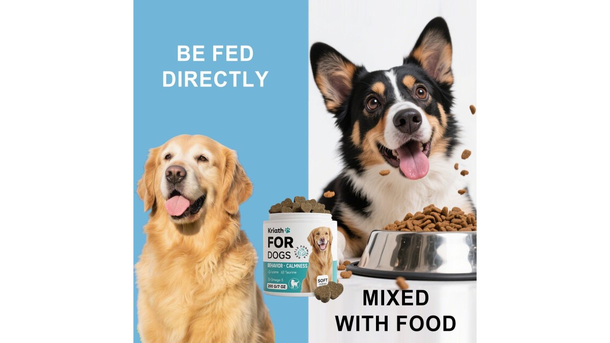 Dog Care Chewable Tablets Daily Care Dog Body Nutrition Balance Immune Quiet Care Tablets