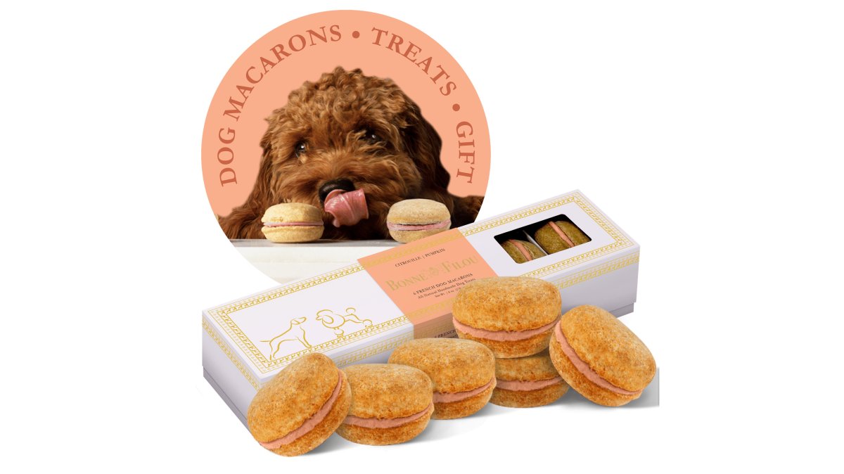 Dog Macarons - Count of 6 (Dog Treats | Dog Gifts)