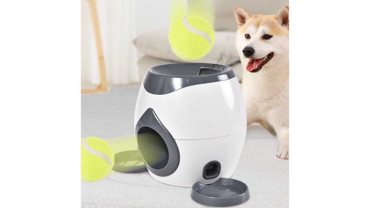Dog Treat Dispenser Ball Launcher