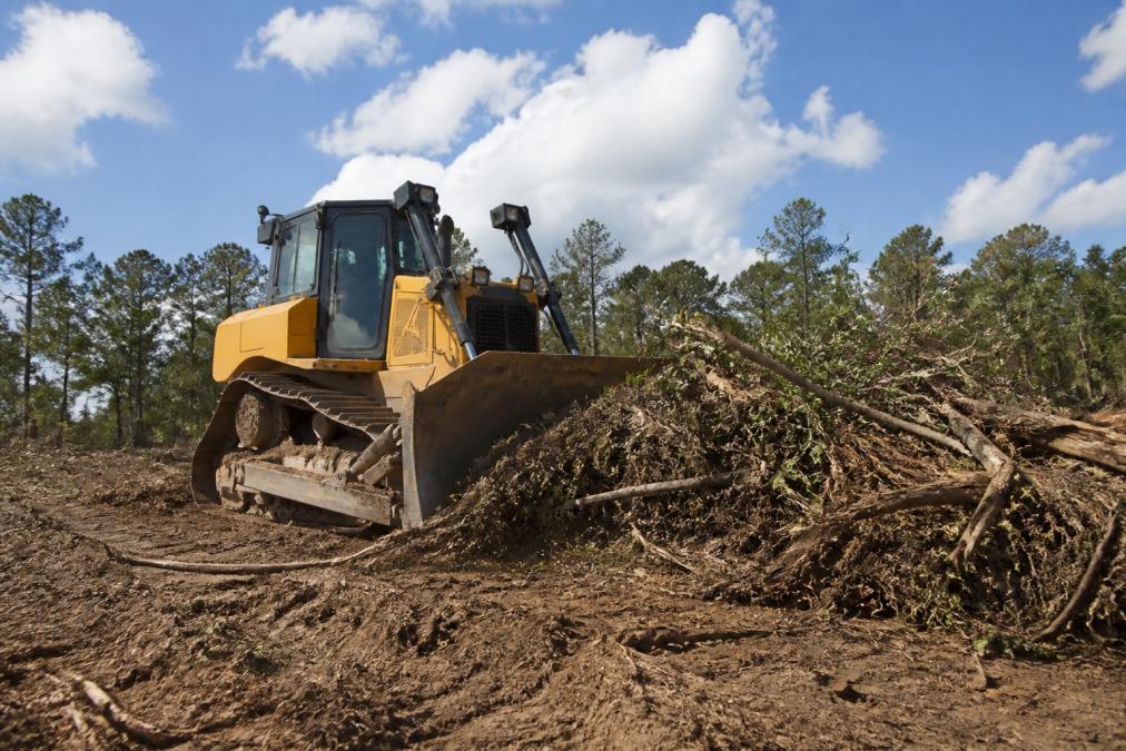 A Caterpillar D-series dozer clearing dense brush and tree debris from a large construction site, with the blade fully engaged pushing material into organized piles, under bright daylight