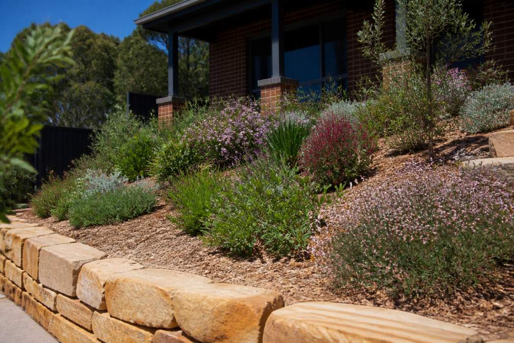 Native garden bed with drought tolerant landscaping on a sloped backyard featuring sandstone edging and mulch.
