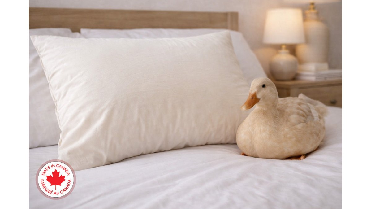 Duck Feather & Down Pillow