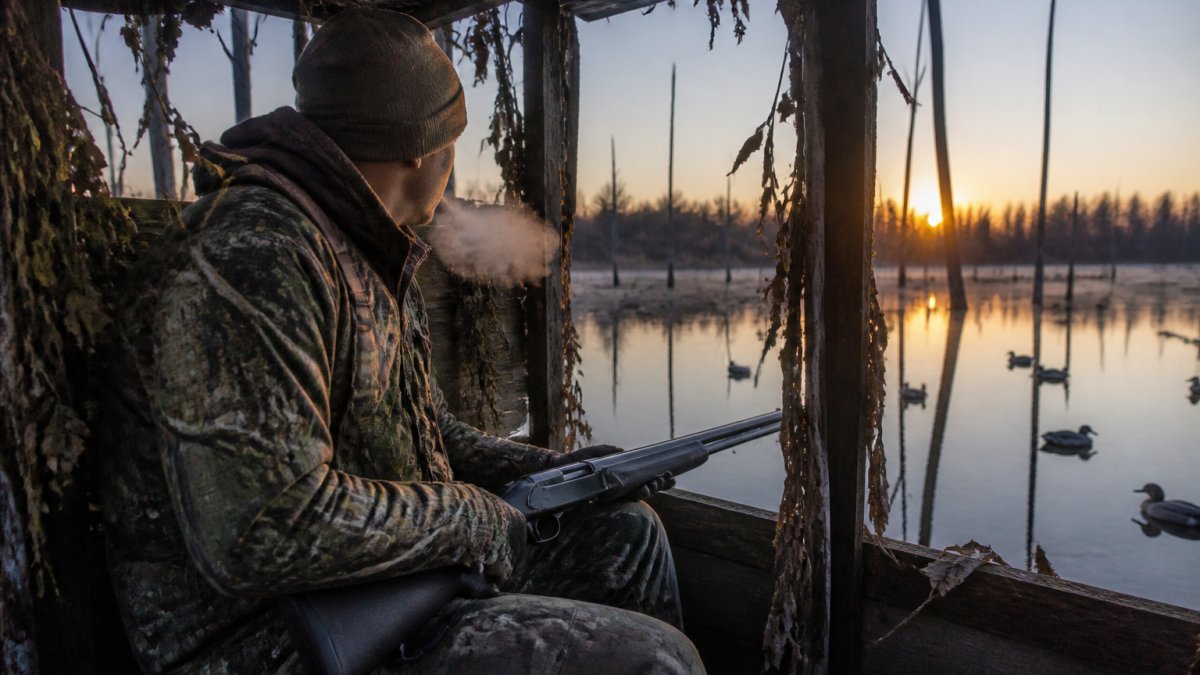 Duck hunter in camo gear sitting in a flooded timber blind at dawn with a shotgun and decoys in the water