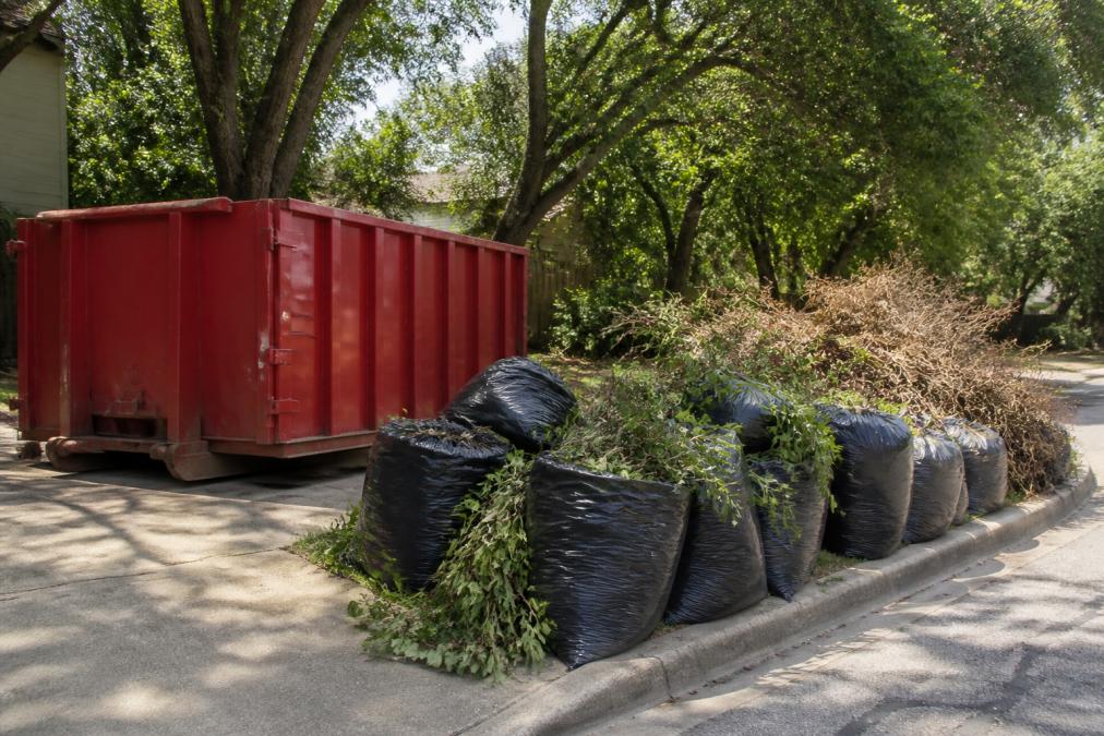 A residential driveway in a leafy neighborhood with a large roll-off dumpster parked beside a pile of bagged yard trimmings and brush set out at the curb for city collection