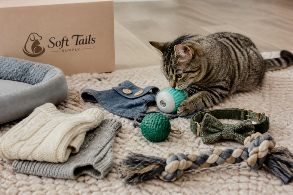 Durable Cat Toys for Chewers: Top Picks