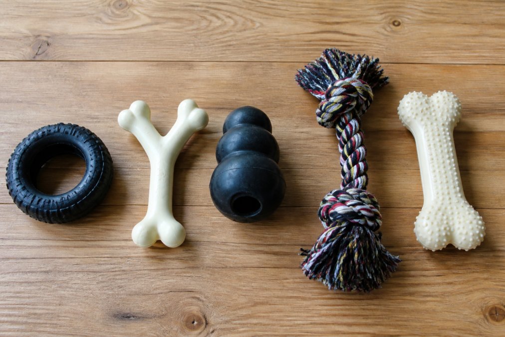 Flat lay of five durable dog chew toys including a black rubber ring, a nylon wishbone, a treat-dispensing rubber toy, a rope toy, and a textured nylon bone arranged on a light wooden surface with natural overhead lighting