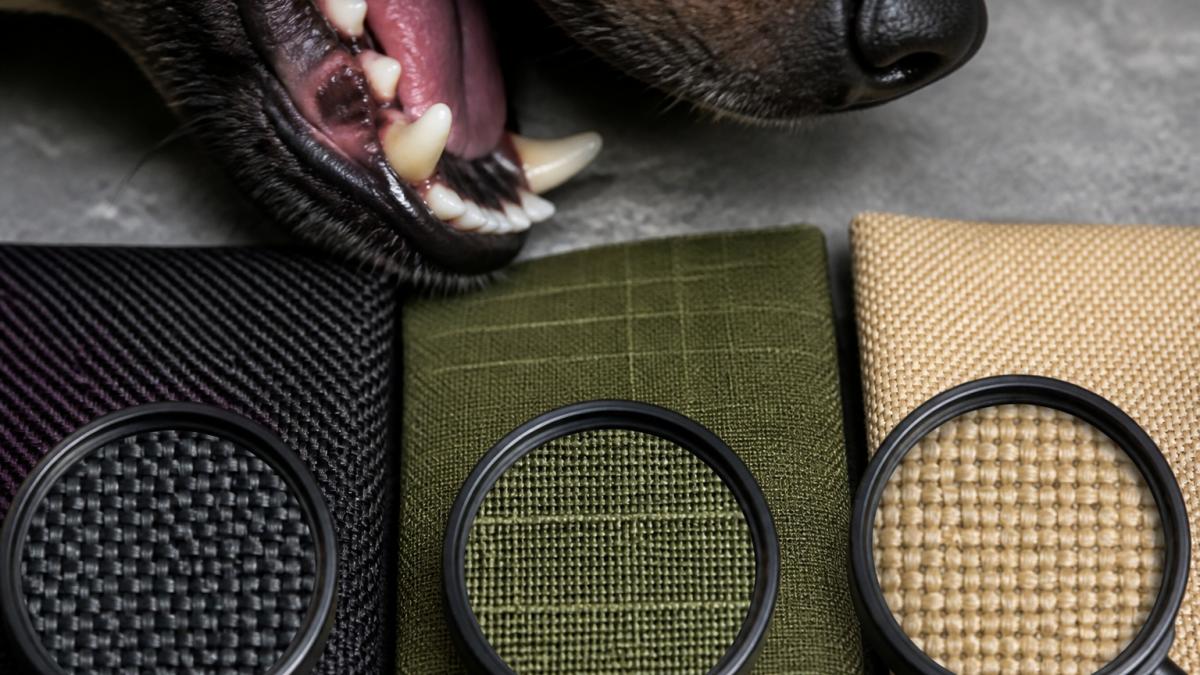 Close-up of a dog's teeth near fabric samples showing ballistic nylon, ripstop polyester, and canvas textures with magnified view of weave patterns