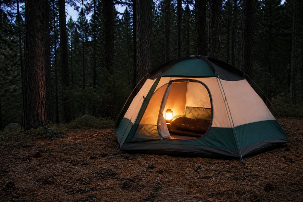 A Coleman Skydome tent pitched on a bed of pine needles in a dense forest, warm lantern light glowing from inside as dusk settles over the trees