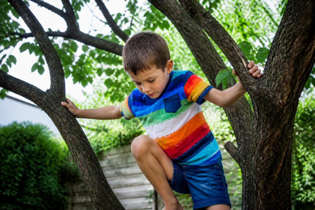 A young child in a colorful t-shirt climbing a tree in a sunny backyard, showing the fabric stretching and moving naturally