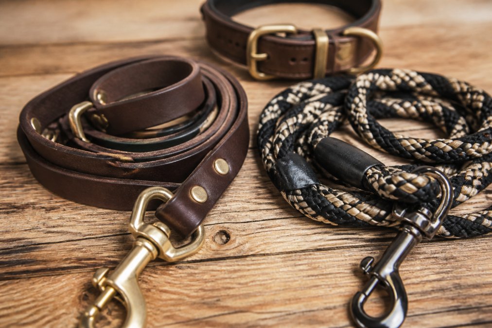 Close-up of a heavy-duty leather leash and a braided nylon leash side by side on a wooden floor, with a large dog's collar in the background