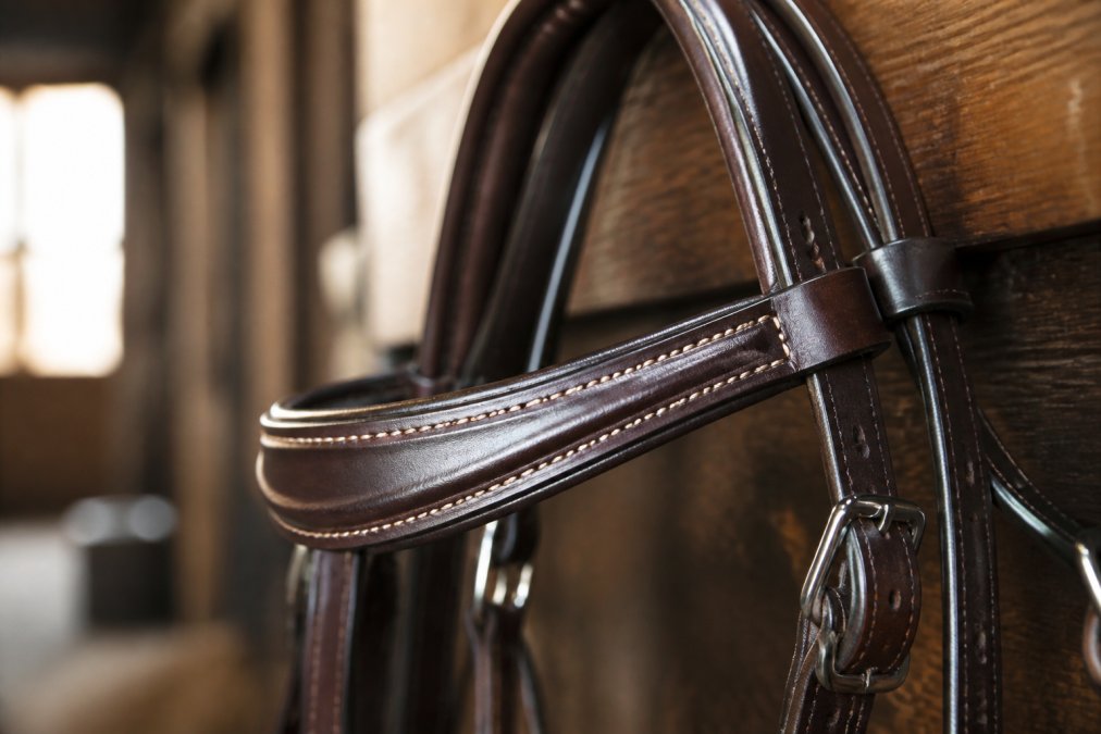 Close-up of premium leather bridle showing intricate stitching detail, burnished leather grain, and polished stainless steel hardware under natural barn lighting