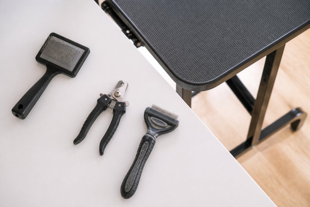 Flat lay of essential grooming tools arranged on white surface including slicker brush, stainless steel nail clipper, deshedding brush, and grooming table in natural daylight