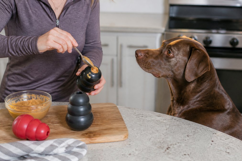 Person at a kitchen counter filling a rubber treat-dispensing toy with peanut butter using a spoon, a large brown dog sitting attentively nearby watching with ears forward, warm indoor kitchen lighting