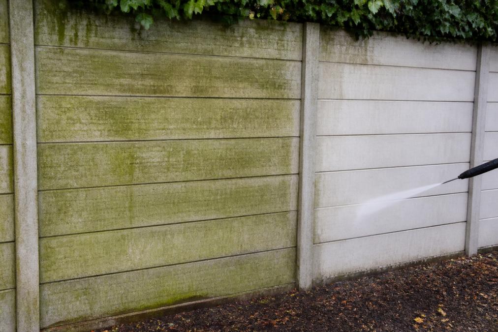 Tuinafscheiding met duidelijke groene algen- en mosgroei op het oppervlak, zichtbaar contrast met schone delen na gedeeltelijke reiniging