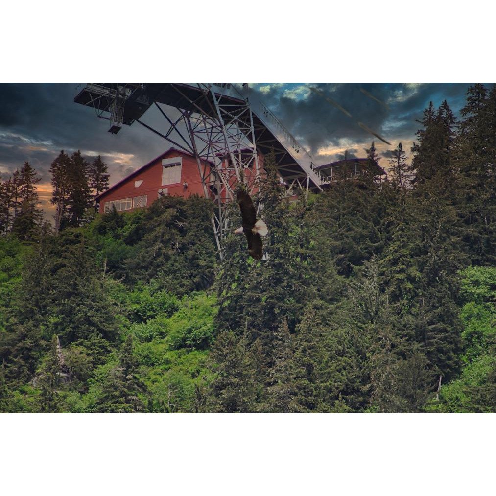 Best Archival Quality Fine Art Prints: 2026 Buyer's Guide