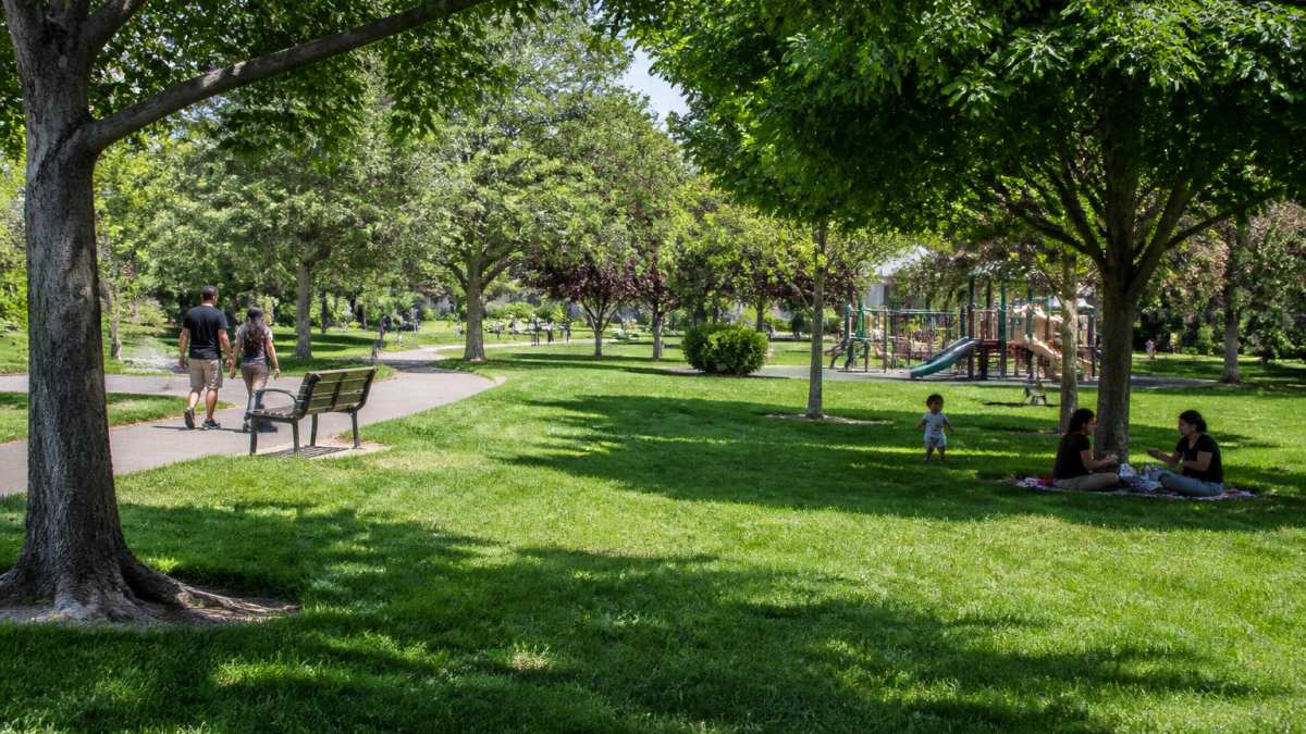 Community park with residents enjoying outdoor activities on a sunny day, featuring green grass, shade trees, and a walking path with natural landscaping