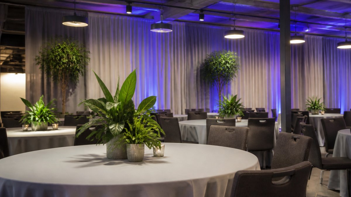 Modern event space featuring eco-friendly corporate event decor with potted greenery and LED lighting.