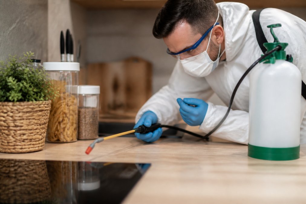 Eco-Friendly Pest Control for Landlords: 2026 Guide
