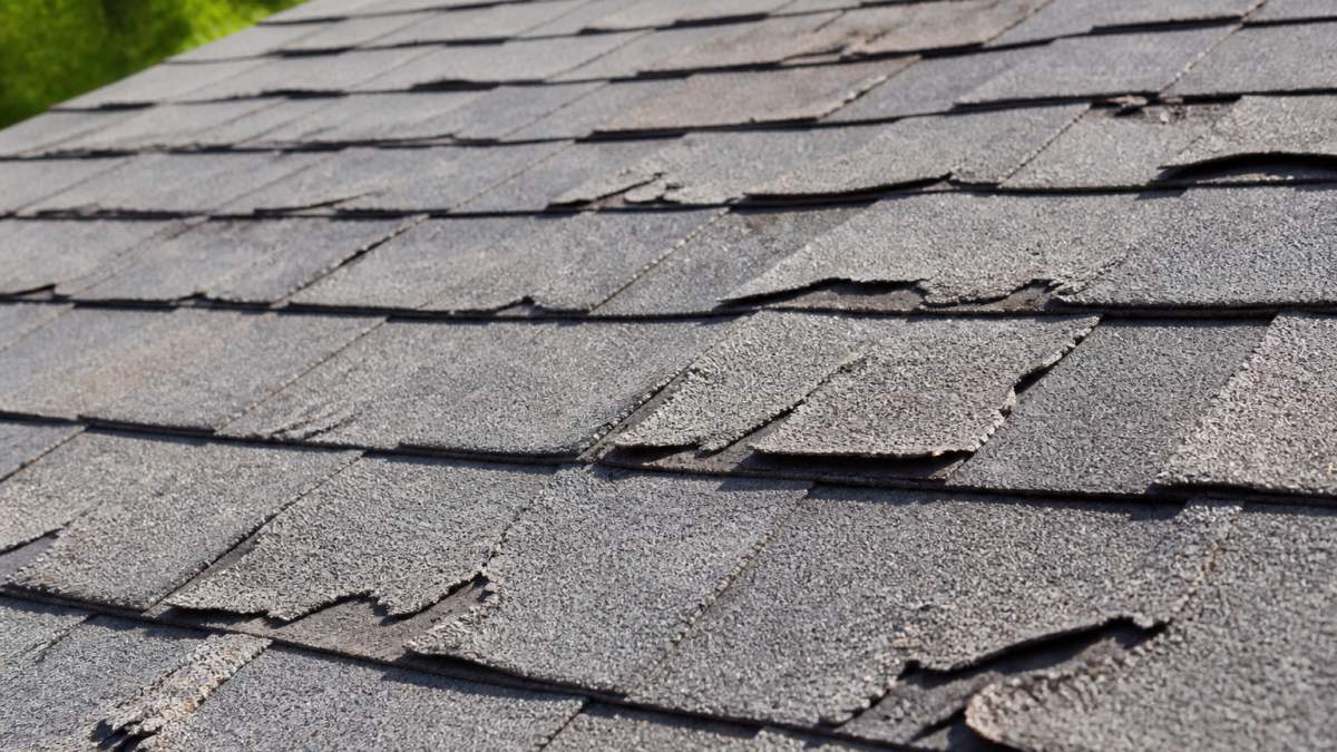 Close-up of aging asphalt roof shingles showing fading, curling, and loss of granules in bright sunlight on a residential home