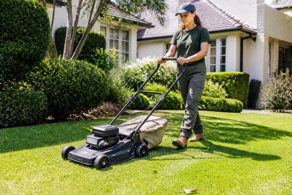 EcoMow Alternative for Residential Lawn Care