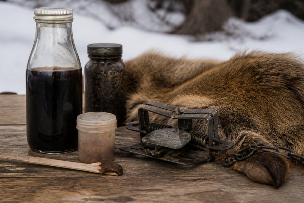 Effective Trapping Lures for Winter Hunting
