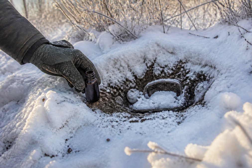 Close-up of gloved hands placing a small bottle of dark trapping lure beside a snow-covered dirt hole set, with a trap bedded in white snow and frost on surrounding brush at dawn