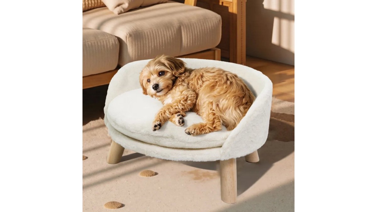 Elevated Pet Sofa Bed with Removable Waterproof Cushion