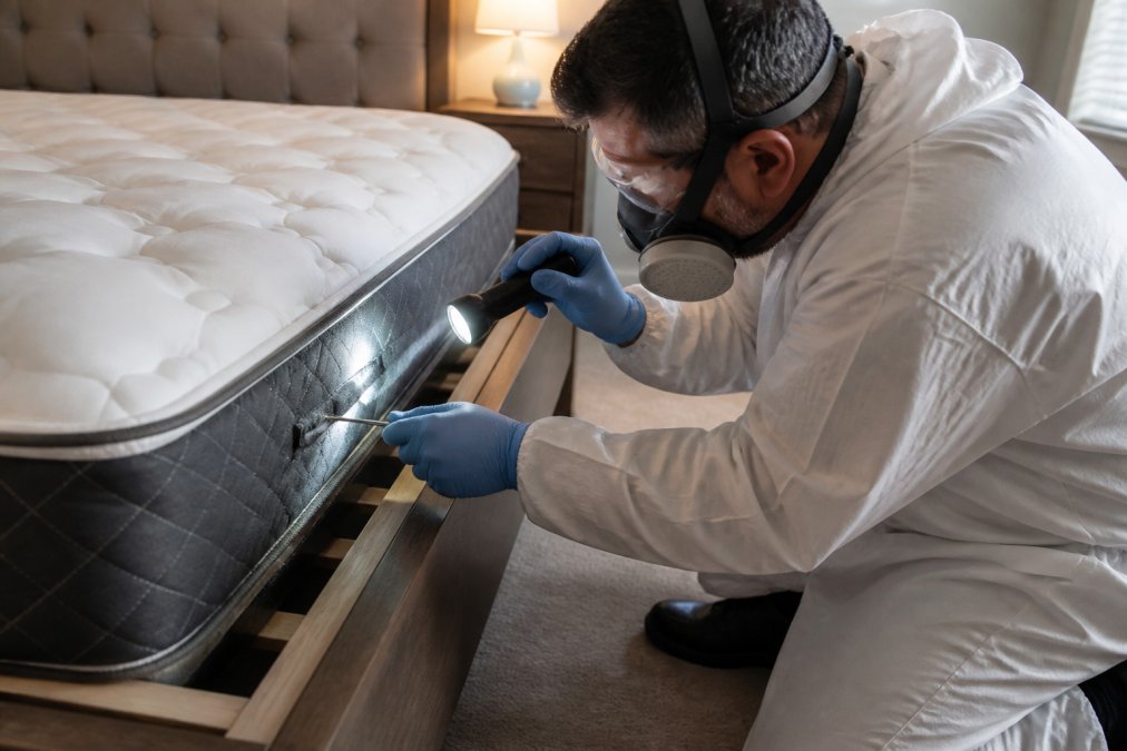 Licensed pest control technician in protective gear and gloves performing detailed inspection of mattress seams and bed frame with professional flashlight and tools in residential bedroom