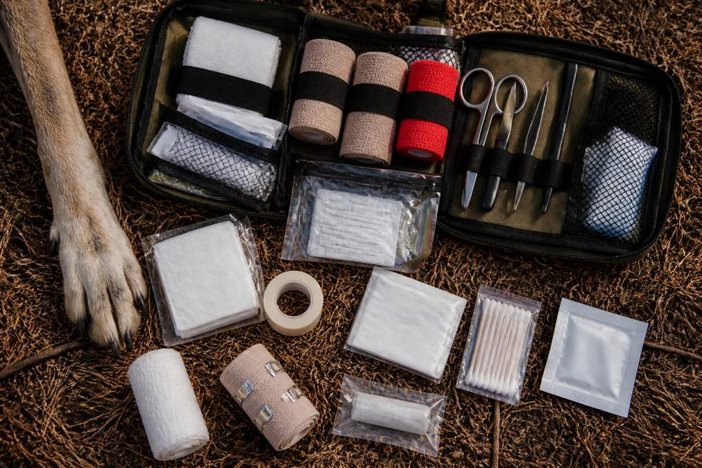 Overhead view of an organized emergency medical kit laid out on a flat surface with sterile gauze pads, bandages, antiseptic wipes, tweezers, and other supplies visible, alongside a dog's paw in frame