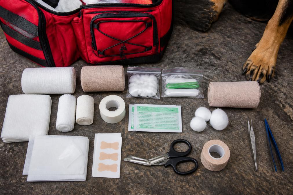 Professional illustration showing Overhead for emergency medical kit for hiking dogs