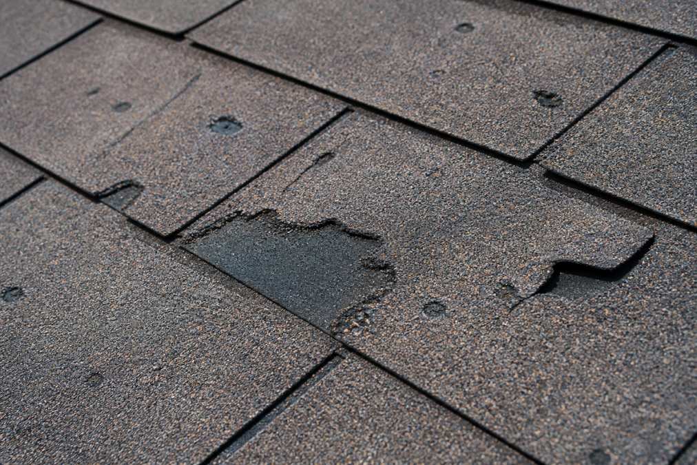 Close-up of roof shingles with visible hail damage, missing granules, and dented areas under bright daylight