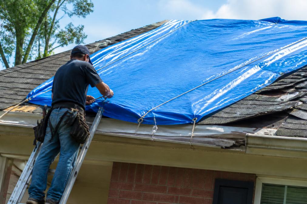 Professional illustration showing Professional for emergency roof repair