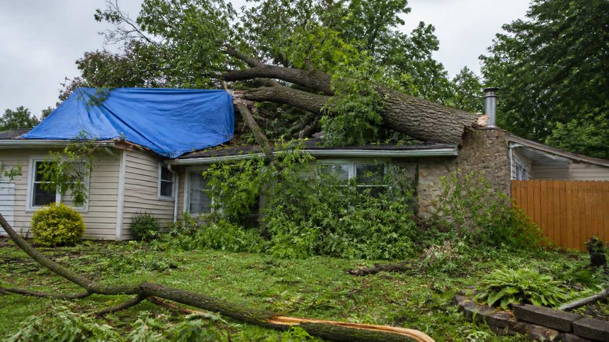 A large storm-damaged tree resting on the roof of a suburban house, with broken branches scattered across the yard and a blue tarp partially covering the damaged area